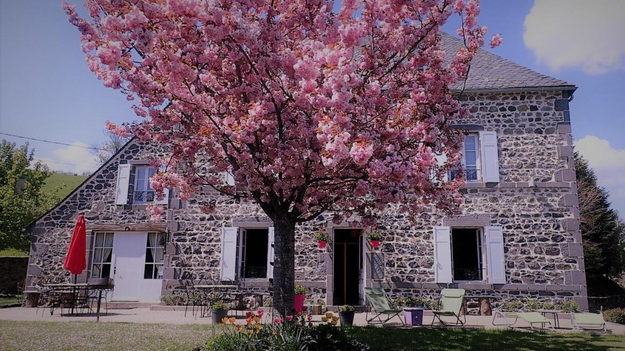 Maison D'Hotes La Nichee Rochefort-Montagne ภายนอก รูปภาพ